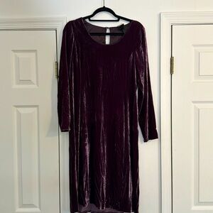 Eileen Fisher long sleeve velvet shift dress. Size XS.
